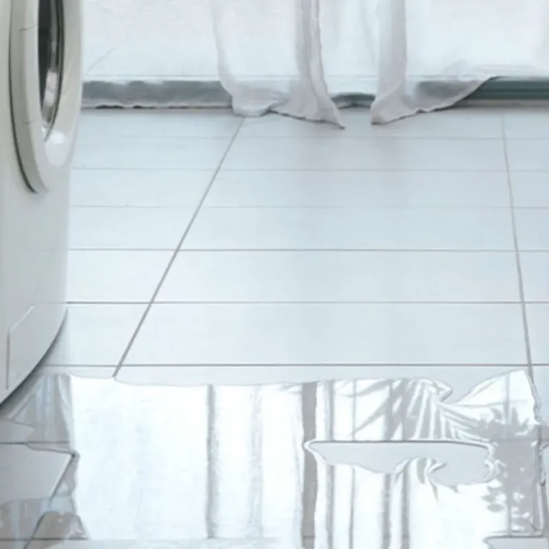 Appliance Leak Cleanup in Lawrence County, IN