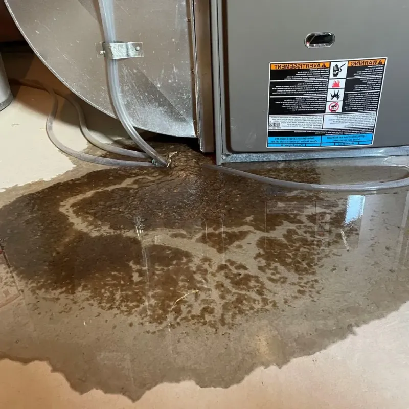 Pipe Burst and Leak Restoration in Lawrence County, IN