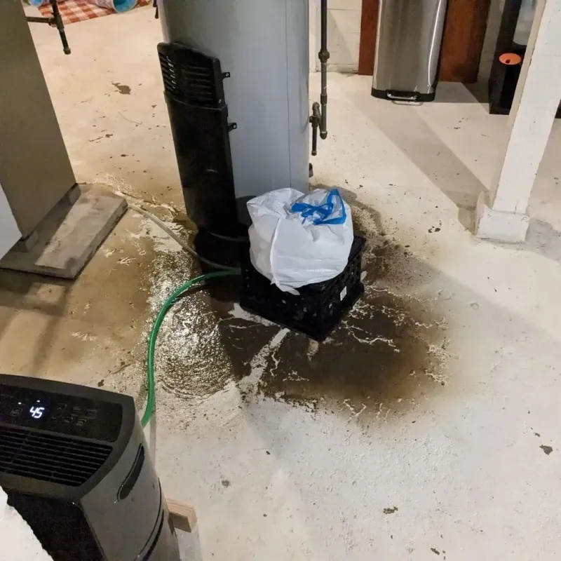 Sewage Backup Cleanup Service in Lawrence County, IN